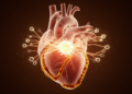 STAT3 Emerges as Central Switch Behind Failed Cardioprotection in Diabetic Hearts