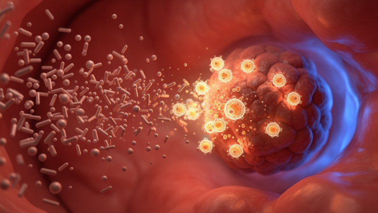 Nanomaterials Converge on Endometriosis With Targeted Delivery, Immune Reprogramming and Ablation
