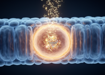 Small RNA shields the blood–brain barrier by silencing DDX58 after injury
