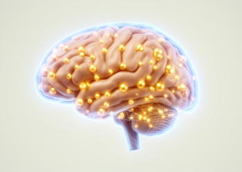 Nine Genes Tied to Cognitive Performance Across Cortical and Subcortical Brain Tissues