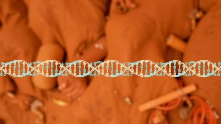 DNA Fingerprinting Gets a Local Upgrade: 24 STR Markers Profiled in India's Santhal Community