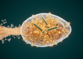 Organic acid blend boosts cellular glutathione defence against Edwardsiella tarda