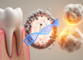 RUNX2 drives tooth eruption through histone lactylation and follicle cell senescence