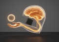Computational model shows how the brain dodges obstacles while reaching for goals