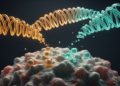 Molecular weight of hyaluronic acid emerges as a master switch in cancer nanomedicine