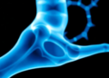 Serotonin Receptor Found to Drive Bone Cancer Spread and Chemotherapy Failure