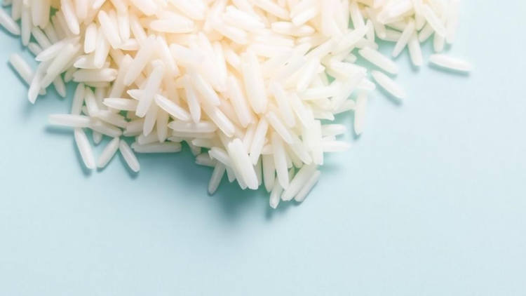 Scientists unlock rice protein's hidden power as a plant-based emulsifier