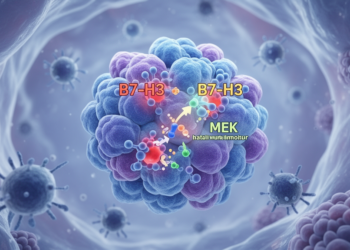 B7-H3 blockade and MEK inhibition overcome immune defenses in prostate cancer models