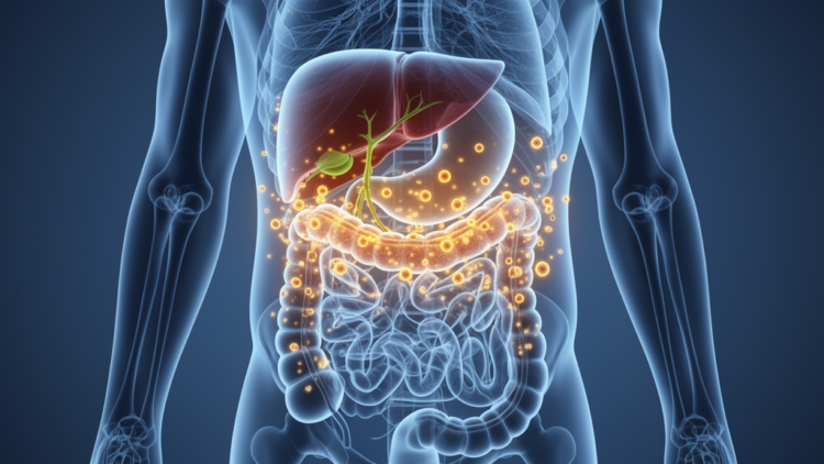 Hidden immune activity may explain colorectal cancer risk in PSC