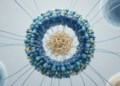CCAN protein complex forms spherical shell before cell division