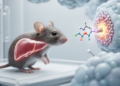 Bacterial fatty acid activates metabolic receptor and improves liver markers in mice