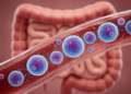 Circulating B cells linked to immunotherapy-related colitis risk