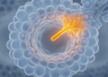 Rare EGFR variant linked to sharply elevated lung cancer risk