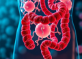Gut Microbiota Sets a Density Threshold That Decides Whether Phages Can Infect