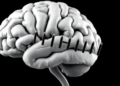 MS Severity Gene Variant Also Tied to Slower Thinking in Healthy Adults, UK Biobank Study Finds