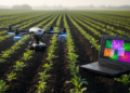 Deep learning outperforms classical methods for early weed detection