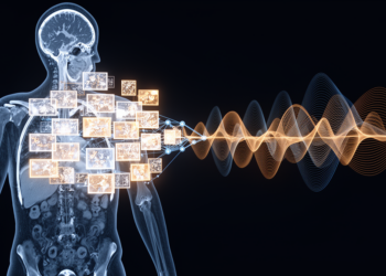Research report: Frequency-aware sparse token vision transformer for medical image segmentation