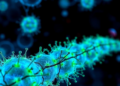 Cancer Cell Camouflage: MnO2 Nanosheets Cloaked in Tumor Membranes Supercharge Radio-Immunotherapy