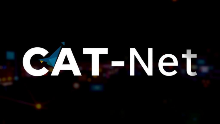 CAT-Net: Hybrid AI Watches Workers to Spot Unsafe Activity in Real Time