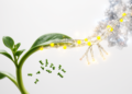 Bioinformatics analysis prioritizes 2,505 Arabidopsis genes linking m6A and alternative polyadenylation