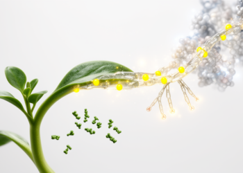 Bioinformatics analysis prioritizes 2,505 Arabidopsis genes linking m6A and alternative polyadenylation