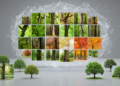 AI-Generated Tree Images Aid Recognition When Real Data Are Scarce, Study Finds
