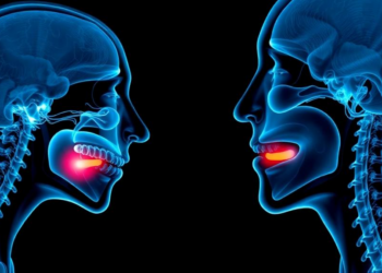 AI Reads Swallowing Muscles in Ultrasound to Grade Dysphagia Without the Guesswork