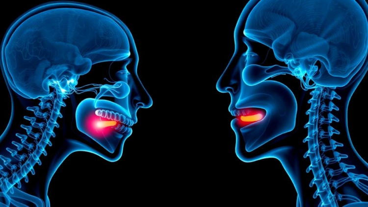 AI Reads Swallowing Muscles in Ultrasound to Grade Dysphagia Without the Guesswork