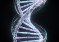 Average human genome characterised for first time from nearly one million sequences