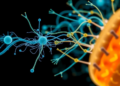 How Bacteria Wire Themselves to Electrodes: The Electron Transfer Secrets Powering Microbial Fuel Cells
