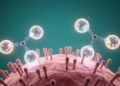 First-line trastuzumab deruxtecan extends progression-free survival in HER2-mutant lung cancer