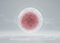 AI Generates Synthetic Human Blastocyst Images, But Fine Details Still Slip Away