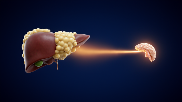 Fatty liver disease blunts the overnight rise of thyroid-stimulating hormone
