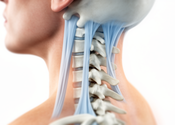 Loose Ligaments in the Neck May Help Explain Dizziness and Dysautonomia in Ehlers-Danlos Patients
