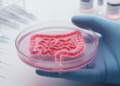 Rebuilding the gut in miniature: next-generation models decode enteric pathogenesis