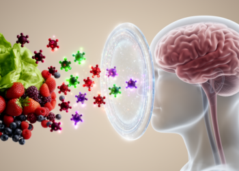 Dietary Phytochemicals Show Promise Against Neuroinflammation, but Bioavailability Barriers Remain