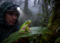 New glassfrog species surprises scientists in central Peru after field mix-up