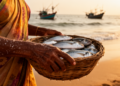 Coastal Living Leaves a Microbial Signature on Gut and Skin, Tamil Nadu Pilot Study Finds