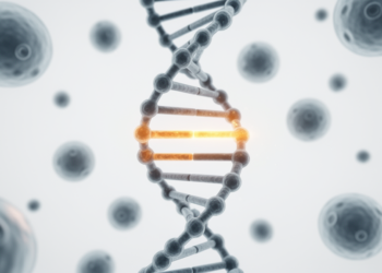 WDR4 Gene Variant Linked to Prostate Cancer Risk in Genetic Study