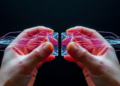 Stretching a Quantum Material Splits Its Superconductivity in Two
