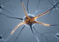 Tubulin Gene Variants Reveal Diverse Brain Development Disorders in Eleven Children
