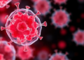 Stem Cell Vesicles Quiet Inflammatory Immune Signals in Osteoarthritis Patients