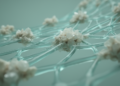 Phosphate-Loaded PVA Nanofibers Show Enhanced Bone-Like Mineralization