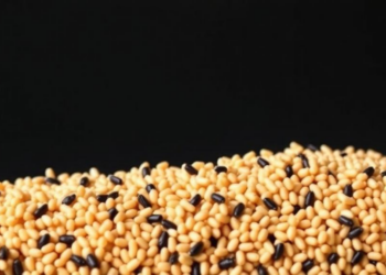Black Sorghum Emerges as Antioxidant Powerhouse in Landmark Australian Grain Study