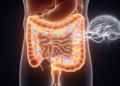 Gut Microbiota Therapies in Parkinson's Disease: Probiotics Ease Constipation, Motor Benefits Remain Unproven