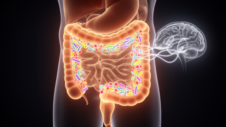 Gut Microbiota Therapies in Parkinson's Disease: Probiotics Ease Constipation, Motor Benefits Remain Unproven