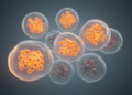 Single-Cell Map of Androgen Receptor States in Resistant Prostate Cancer