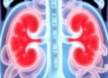 Kidney Cancer Gene Marker CTDNEP1 Signals Survival Differently Across Tumor Subtypes