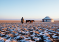 Snow Drought Intensifies Across the Mongolian Plateau, Driven by Warming and ENSO