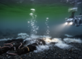Arctic Groundwater Discharge Sites Fail to Mimic Methane Seep Ecosystems in Svalbard Fjords
